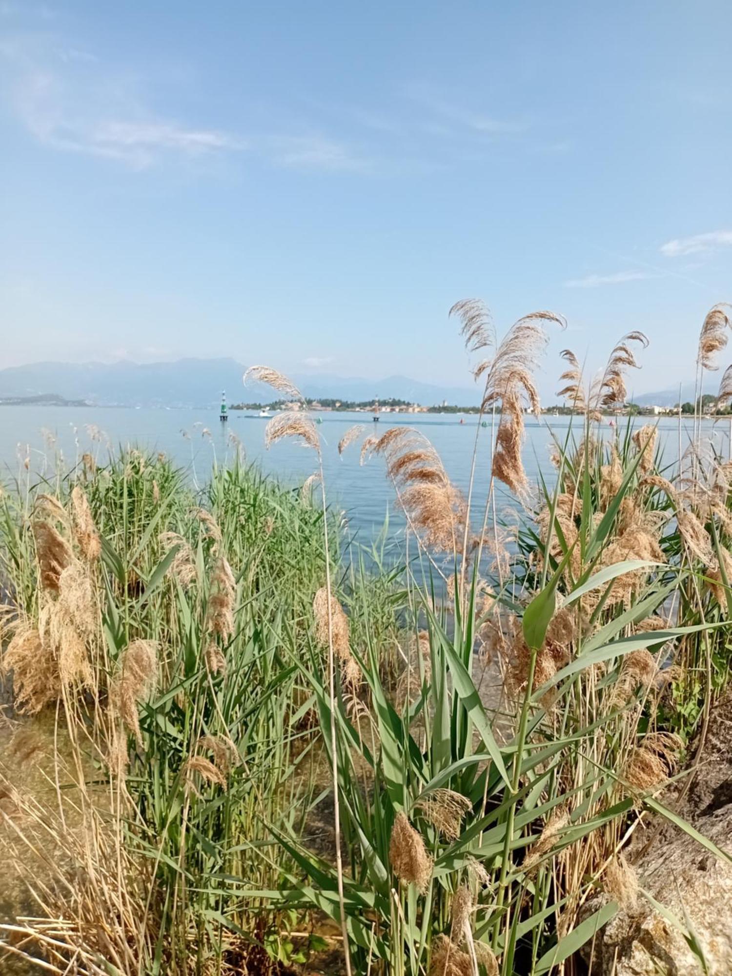 Apartamento Miragarda Sirmione Exterior foto